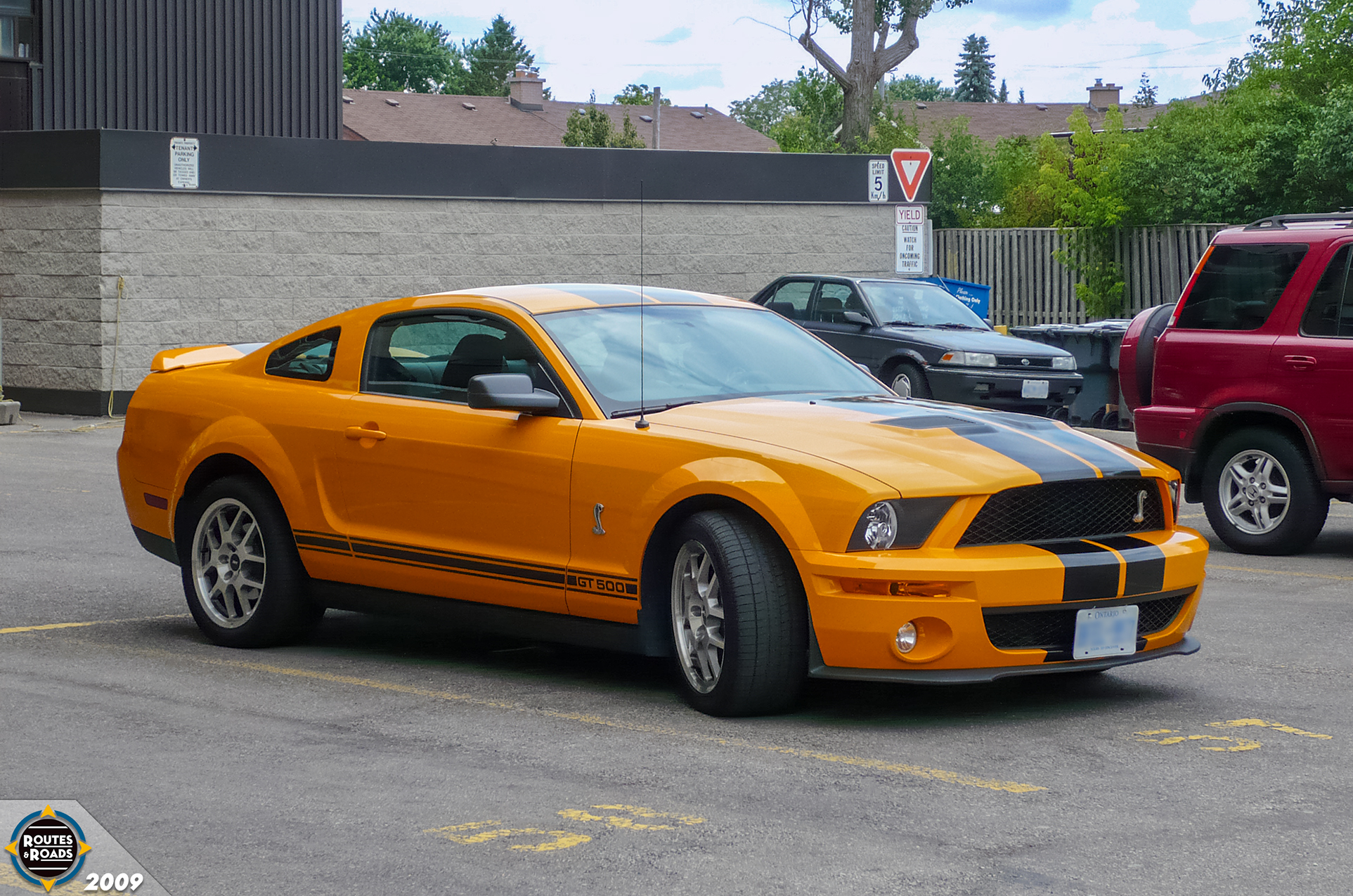 A 2007-2009 Ford Shelby (Mustang) GT500, an iconic nameplate and model that was absent from the muscle car market for over 35 years.